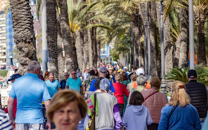 Benidorm destina más de 46.000 euros a fomentar el empleo en entidades empresariales
