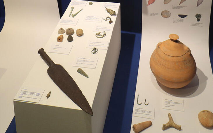 colección museográfica