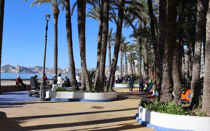 Parque de Elche