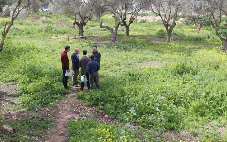 Benidorm incluirá un parque inundable en el proyecto de renaturalización del barranco Barceló 