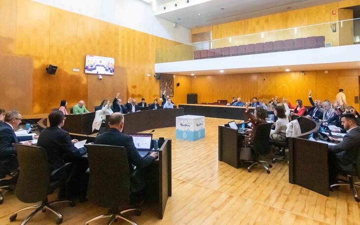 Pleno ordinario Marzo 2025