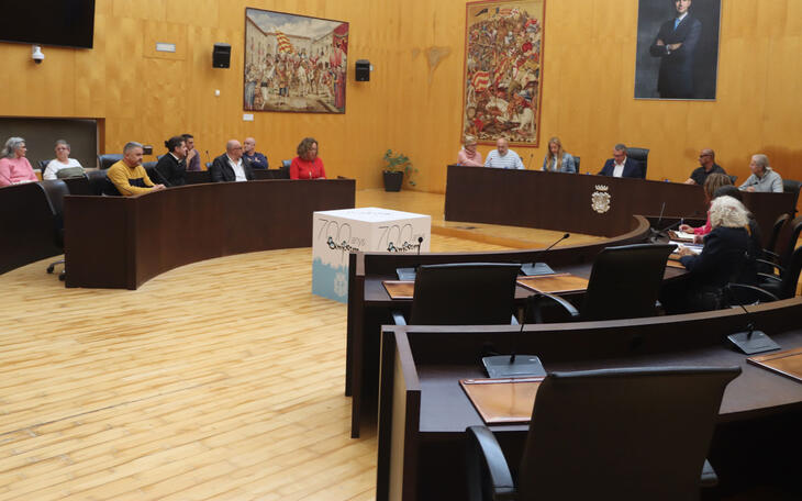 El Consejo Vecinal aprueba por amplia mayoría el Autorreglamento del Presupuesto Participativo 2026 
