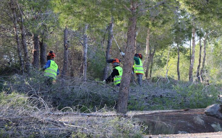 Benidorm licita el proyecto para el desarrollo de actuaciones contra incendios en el parque urbano de El Moralet