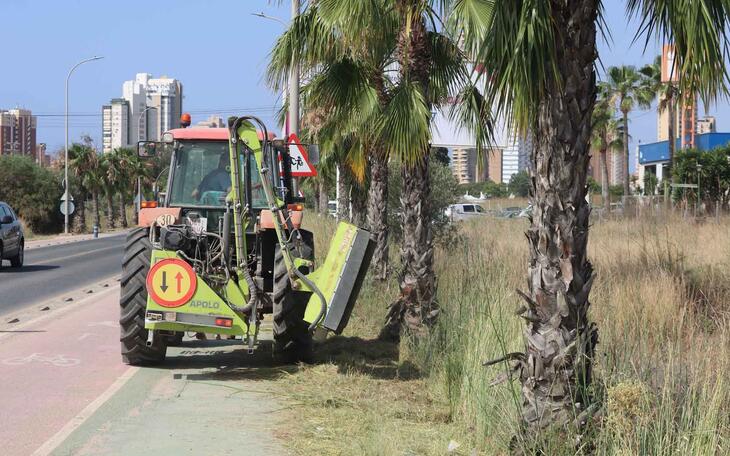Benidorm ejecuta labores de limpieza de cunetas en todos los caminos rurales de l’Horta