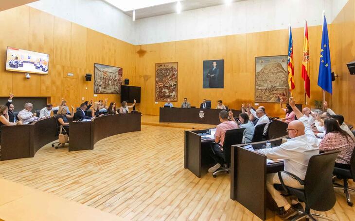 Pleno ordinario junio