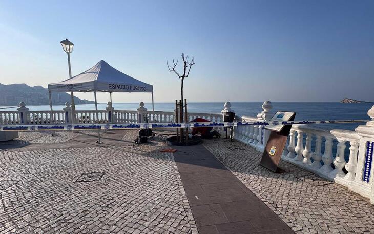 Los Servicios Técnicos Municipales de Benidorm realizan más de medio millar de intervenciones en la vía pública en lo que va de año
