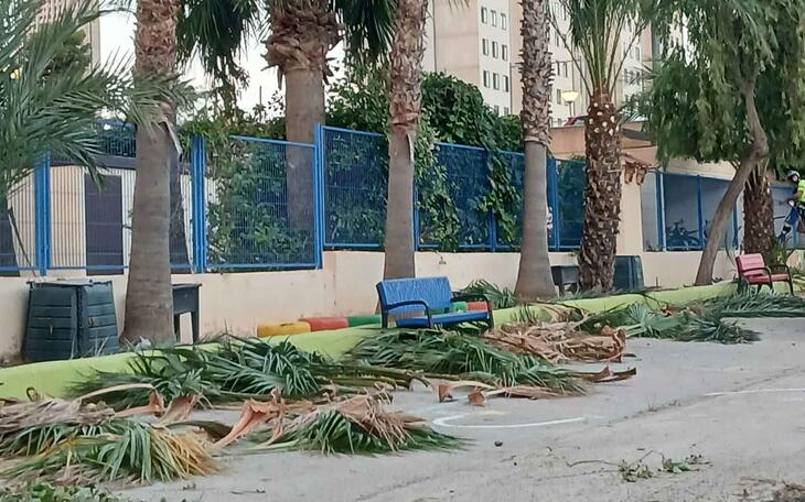 Benidorm realiza mejoras en la jardinería de 13 colegios antes del inicio del curso escolar 