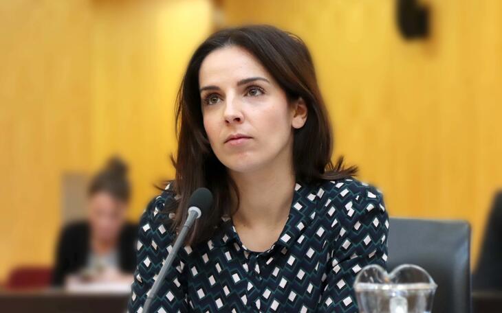 García Mayor: “Este gobierno ha presupuestado ya 6,2 millones de euros de ayudas directas a familias y sector productivo para 2021”