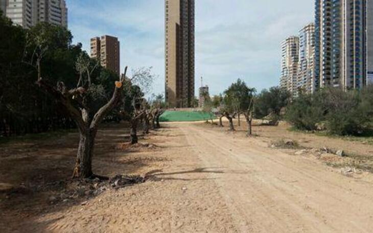 Compromís critica la falta de accesos y señalización y pobre acondicionamiento del parque de jóvenes (skate park)