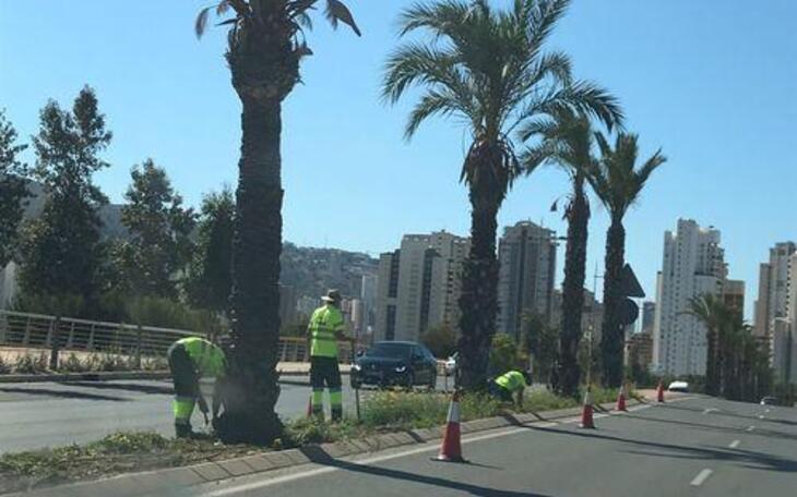 Liberales denuncia por “enésima” vez que la empresa concesionaria asuma las obras de  jardinería de la Avenida Comunidad Europea 