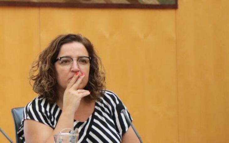 Caselles: “Las ayudas a empresas y autónomos se han fijado en base al censo empresarial y son compatibles con las autonómicas”
