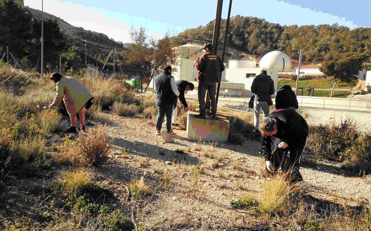 Usuarios del CEEM volverán a realizar este año labores de voluntariado ambiental