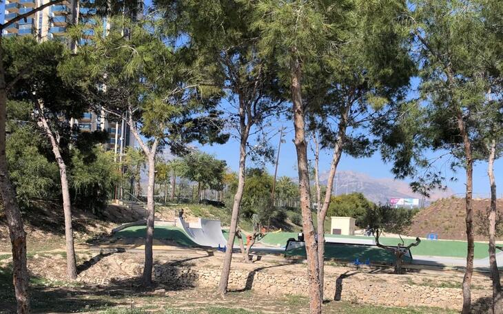 Cs pide actuar ante la presencia de orugas procesionarias en zonas verdes de Benidorm 