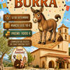 Cagà de la burra