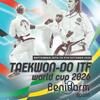 imagen deportistas taekwondo