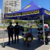 policía local