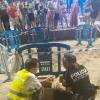 Nacen varias decenas de ejemplares de tortuga boba en la playa de Levante de Benidorm