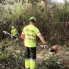 Benidorm actúa sobre una parcela forestal en el Murtal para proteger la zona ante posibles incendios 