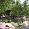 Benidorm mejora la ornamentación de cementerios y jardineras con la colocación de más de 12.000 plantas 
