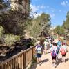 El parque urbano El Moralet de Benidorm revalida el galardón ‘Sendero Azul’ en 2026 