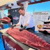 Benidorm presenta la VI edición de las ‘Jornadas del Atún’ con el ronqueo de un ejemplar de 280 kilos 