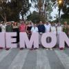 Cena solidaria Anémona
